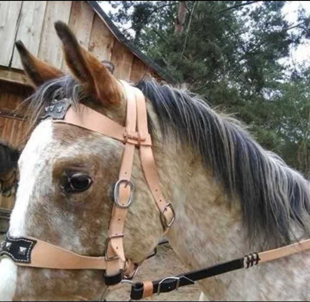 Ogłowia historyczne - medieval bridle