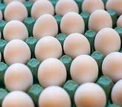 яйце на інкубацію м'ясояєчного направлення
