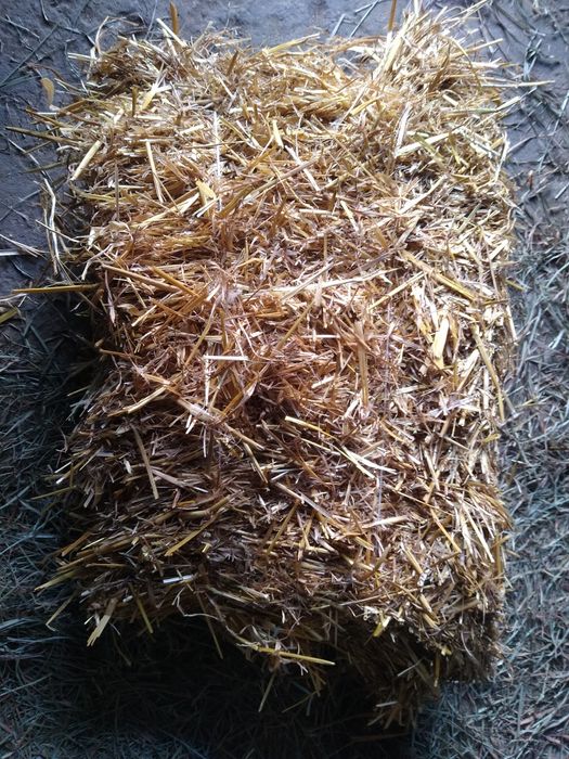 Słoma owsiana kostka balot