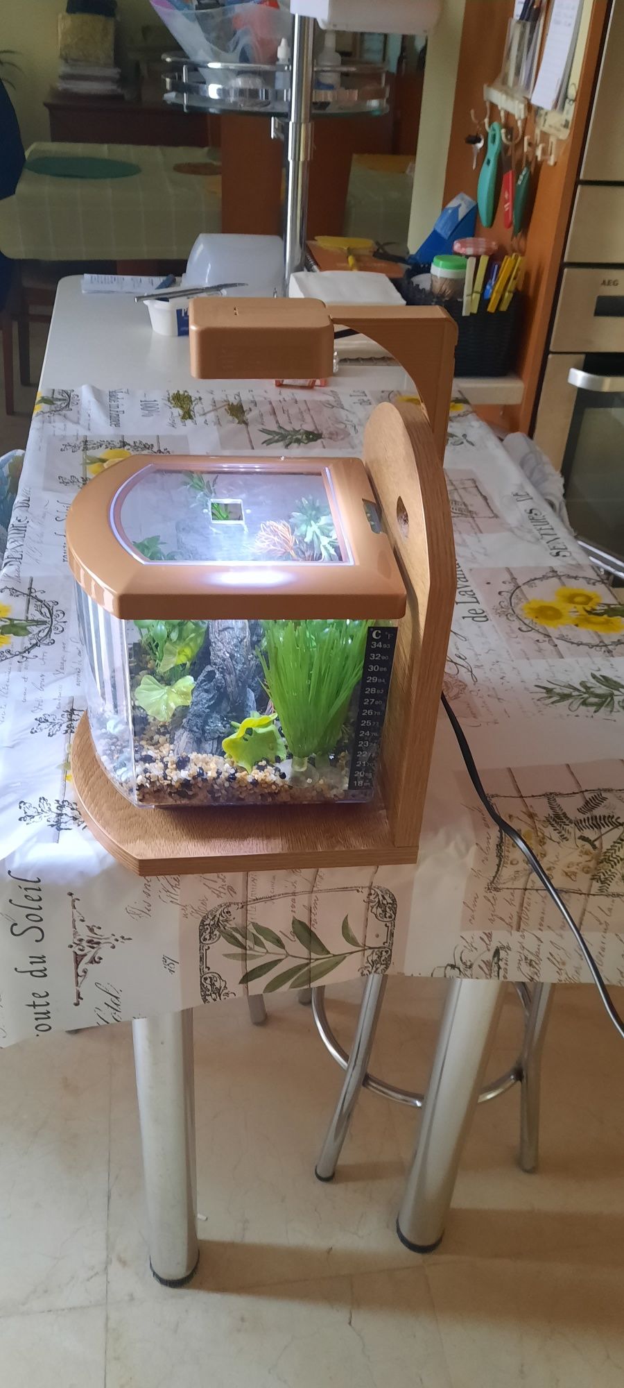 Aquario com aproximadamente 5 litros