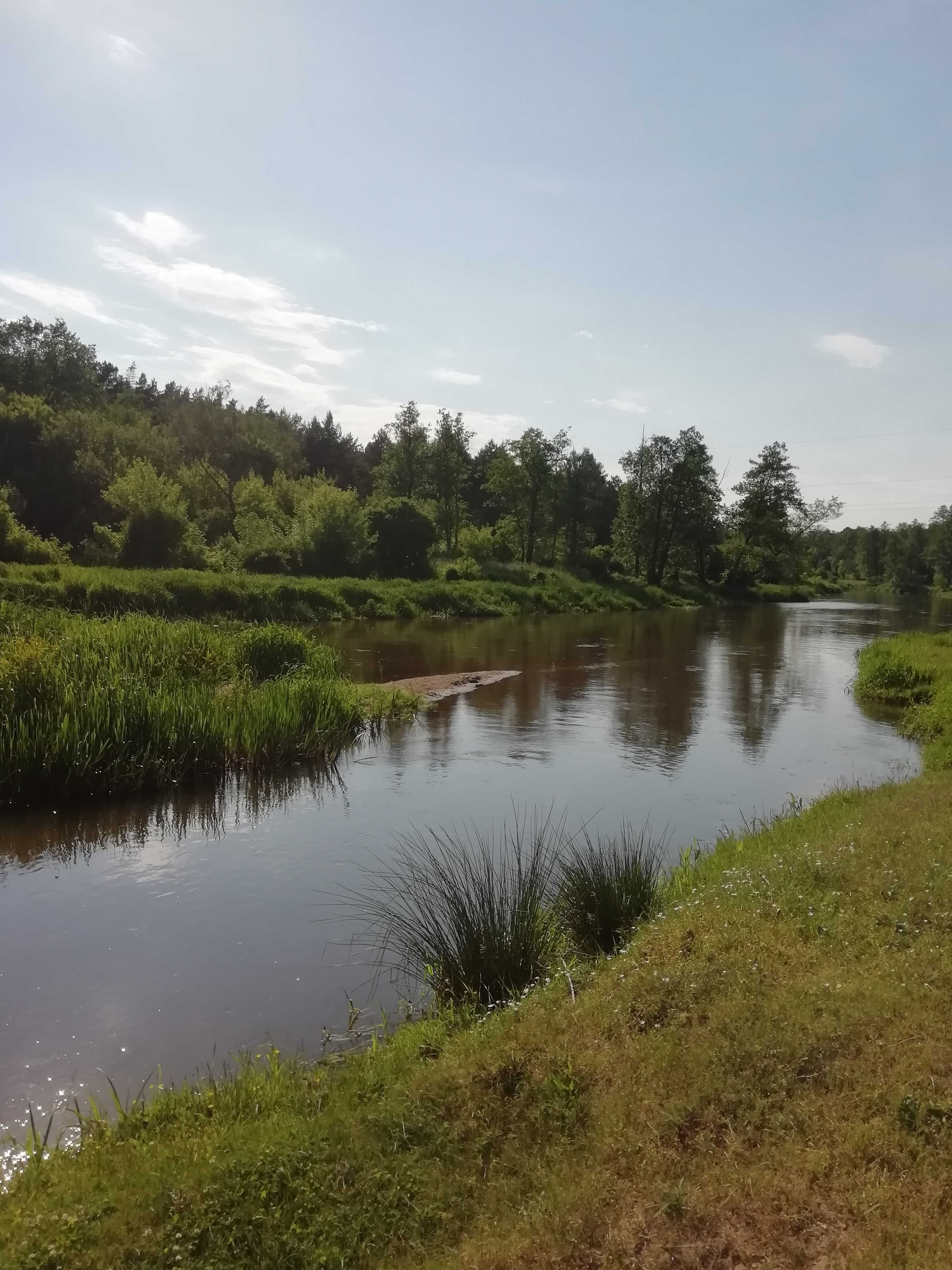 Dom na wsi w sąsiedztwie lasu rowery  grill ognisko