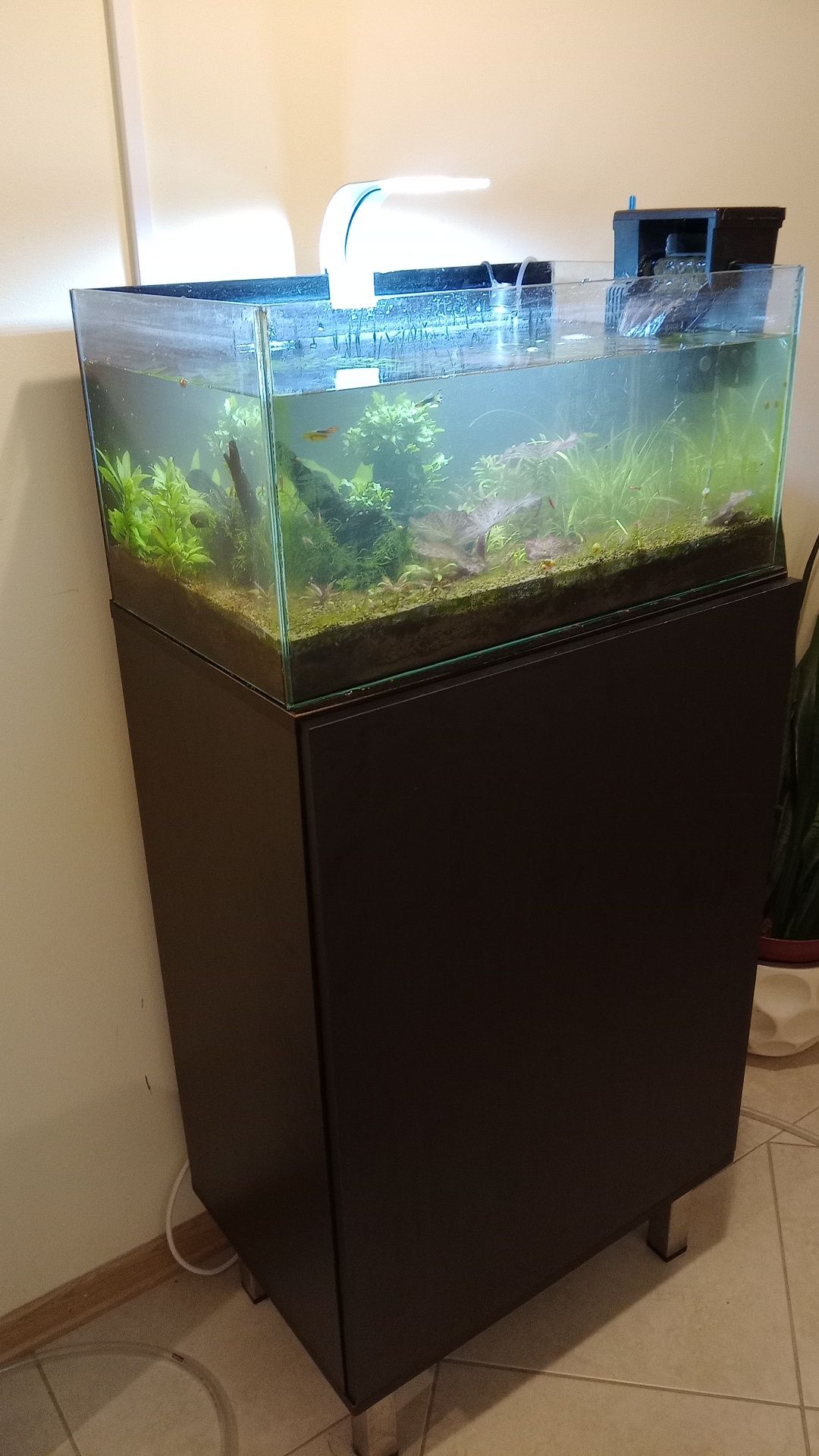 Aquário 60x36x30
