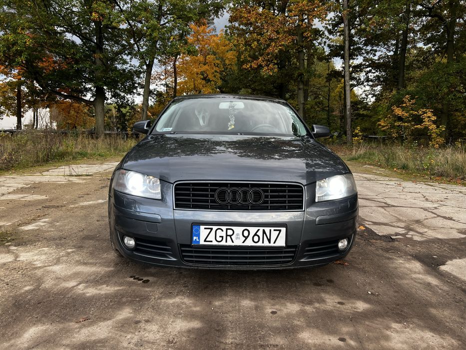 Audi a3 8p 1.9tdi 105PS