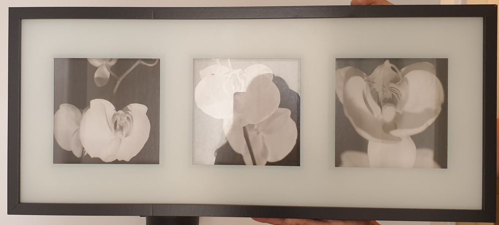 Quadro Ikea flores