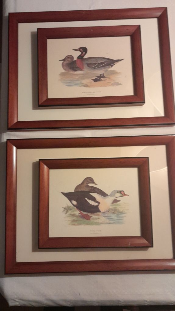 4 gravuras, 2 medidas 44x33 cms + 28x22 cms