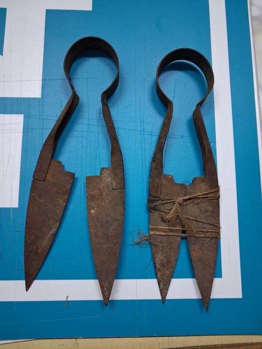 Nożyce do strzyżenia owiec