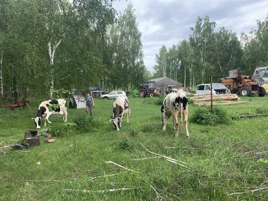 Продаж землі.Брусилів.Київ.Житомир.Радомишль.Макарів.Область.Траса.Е40