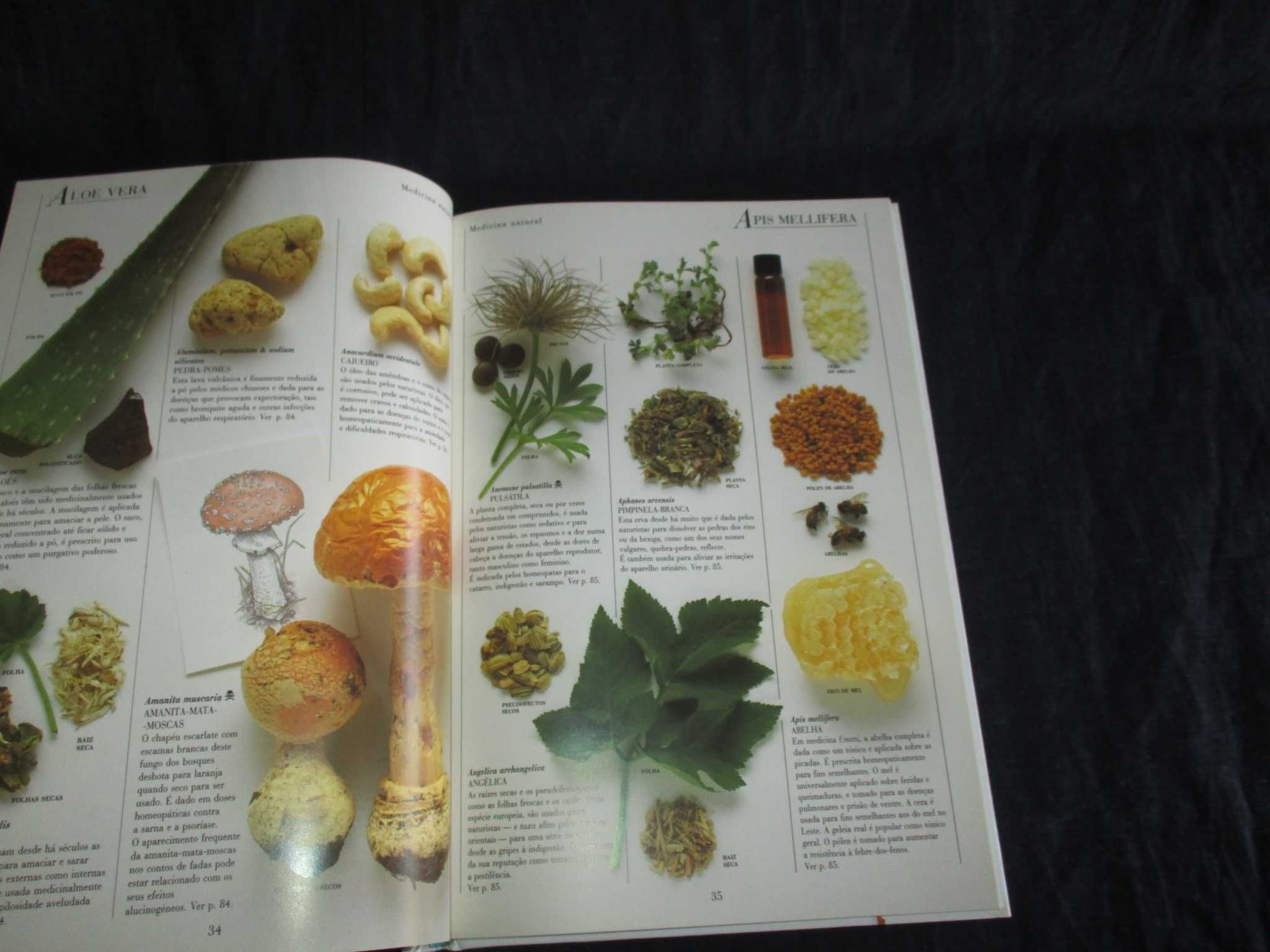 Livro A Farmácia Natural Guia de Medicamentos Naturais