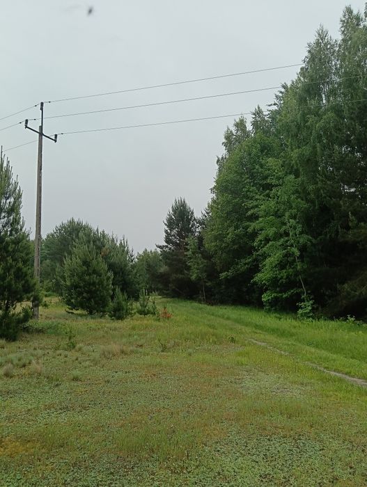 Działka rekreacyjna 1,26 ha.