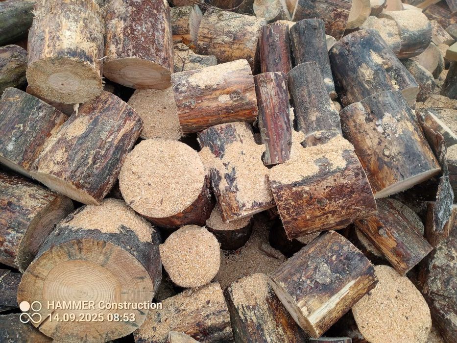 Drewno sosnowe pocięte sosnowe