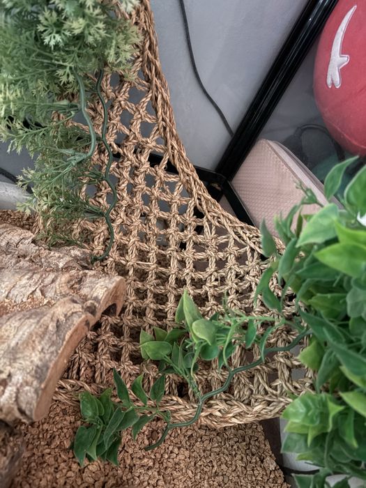 Terrarium dla gadów