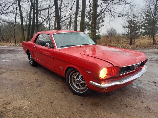 Ford Mustang 66 V8 289'