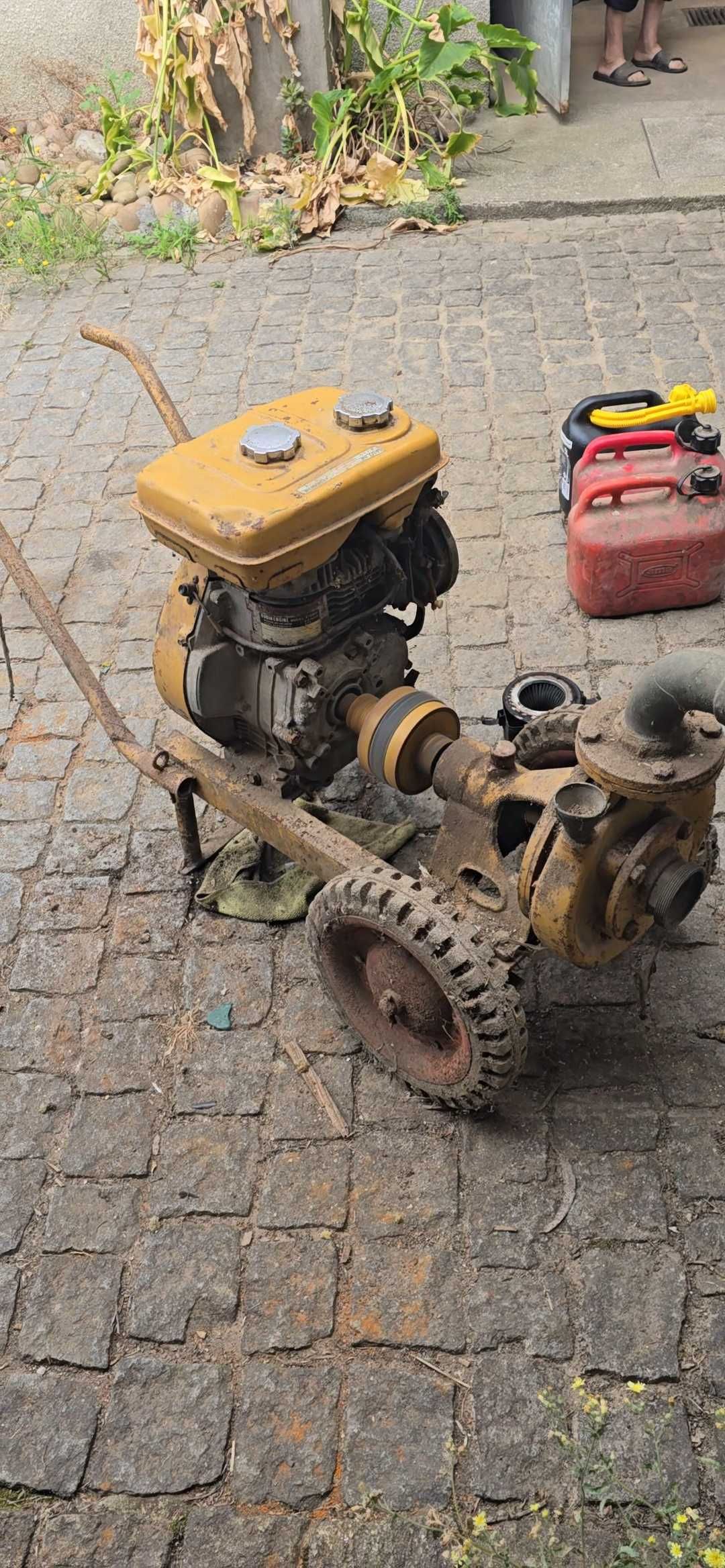 Motor para Rega Robin
