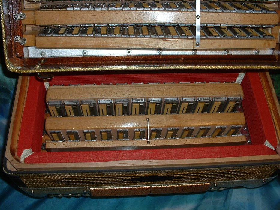 Acordeão Avenda G, .551