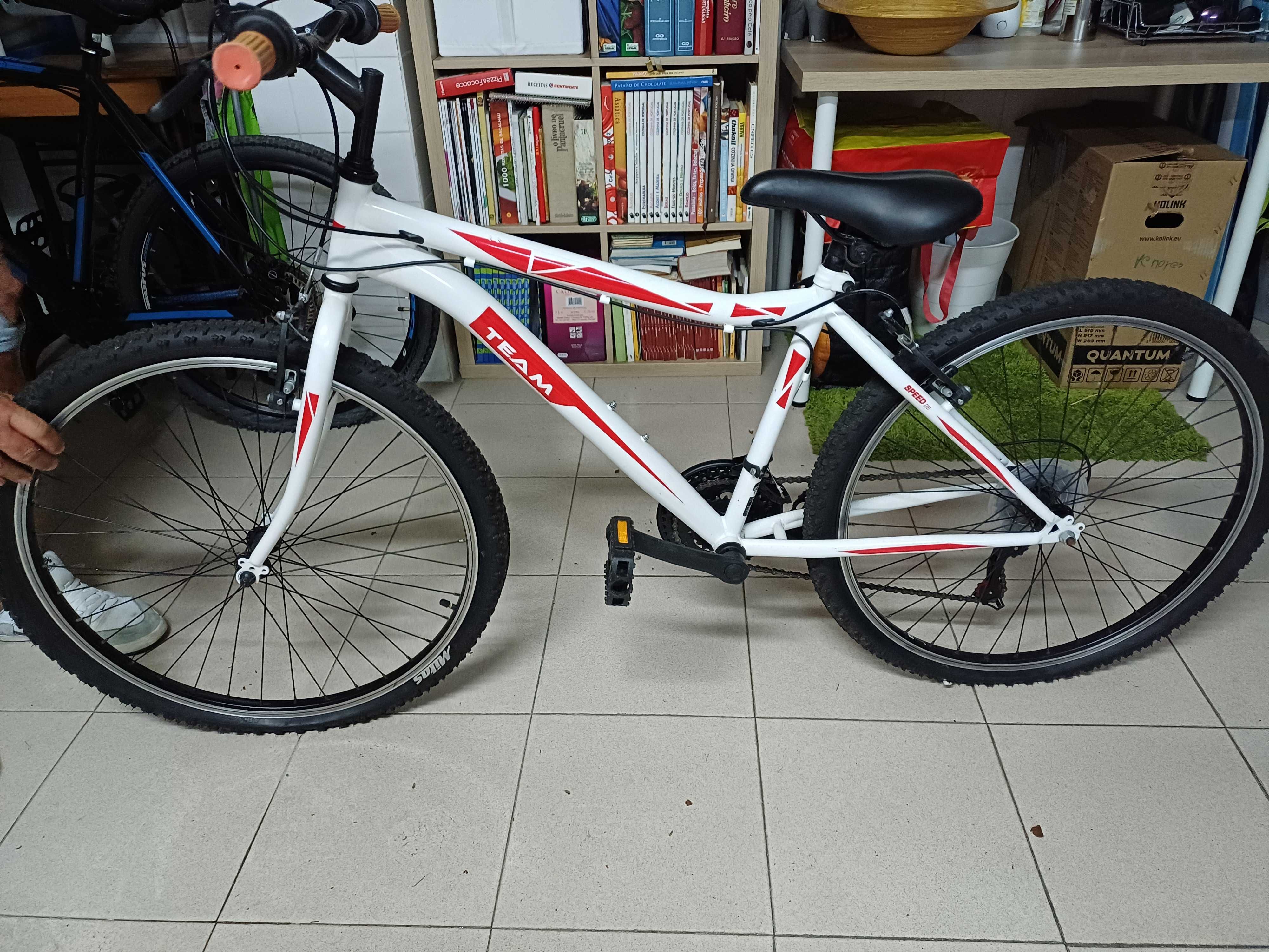 Bicicleta de criança