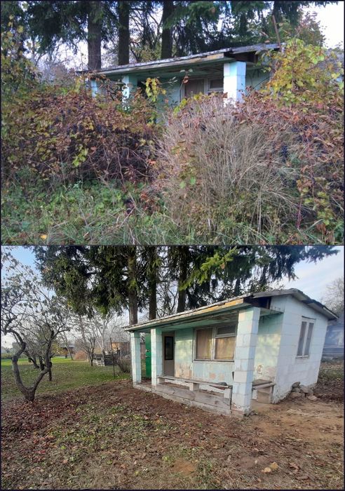 Porządkowanie ogrodów ROD Karczowanie Koszenie Wycinka Sianie Wywóz