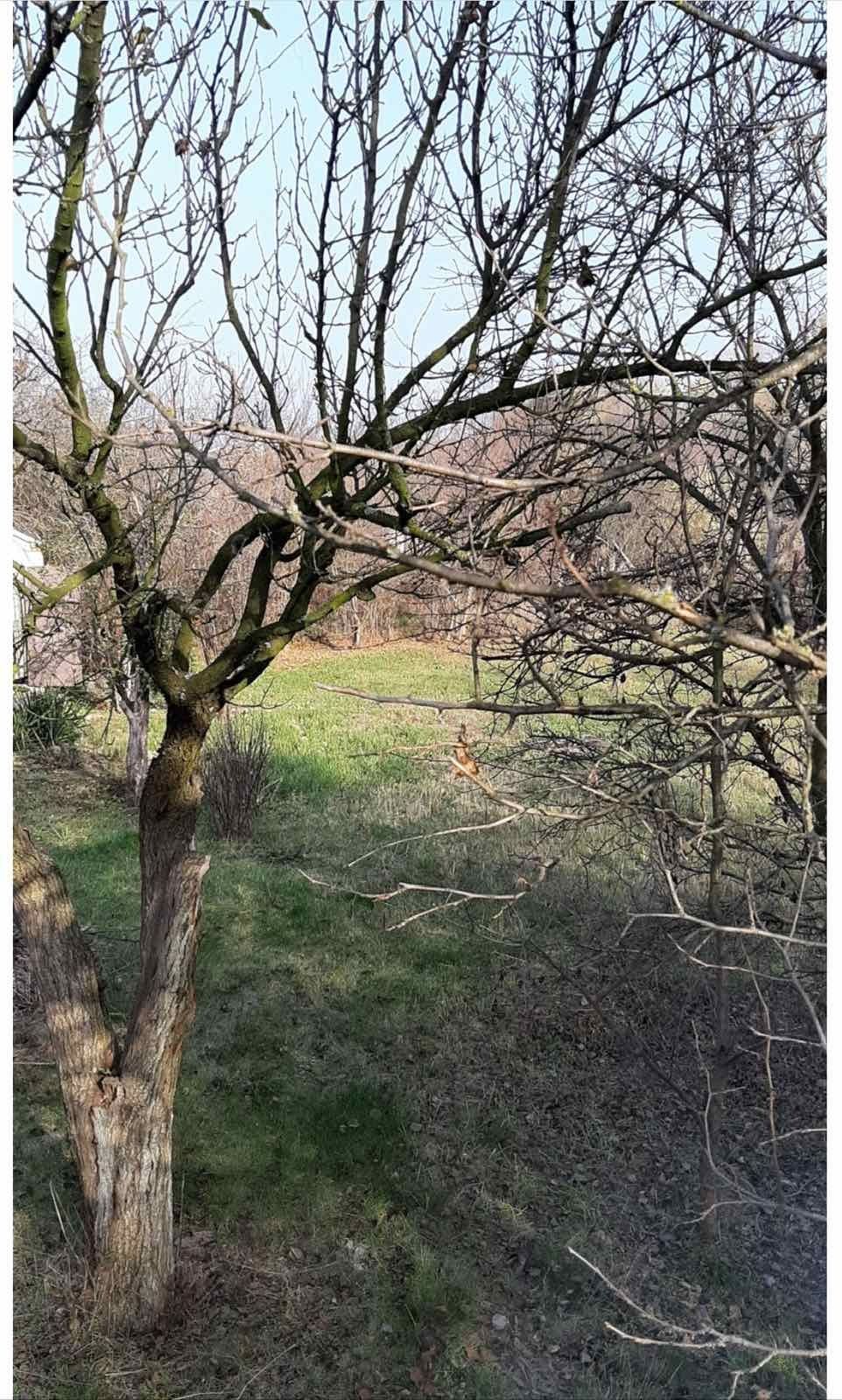 Продам 2 участка  Дача Сура
