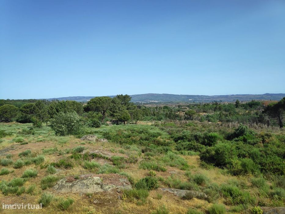 Fantástica Quinta com 3 Hectares