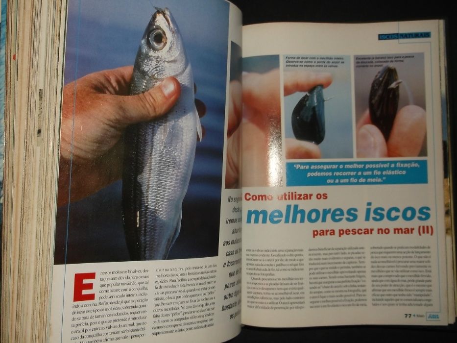 Caça e Pesca-48 Revistas-