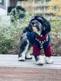 Ręcznie szyta bluza sweterek polar ubranko dla charta charcika psa pie