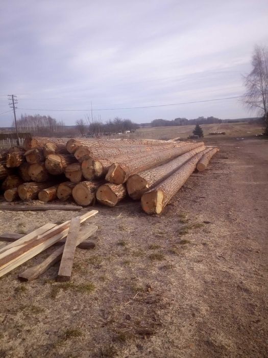 Sosna dłużyca, tartaczna ,przecieranie drewna, krokwie ,płatwie,