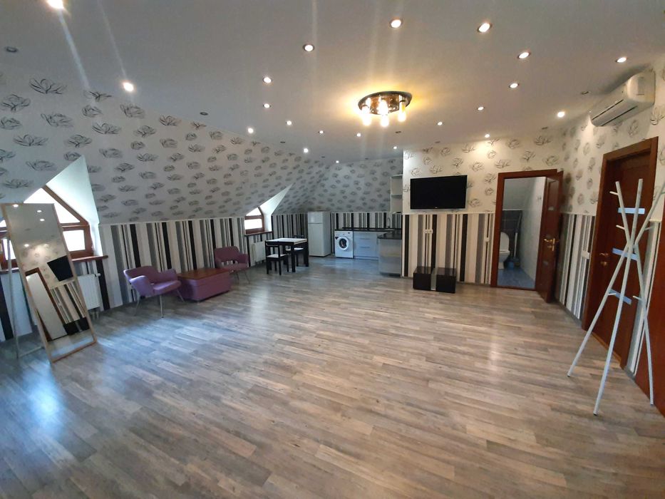 Студія в приватному будинку біля парку Шевченка (Митна академія)