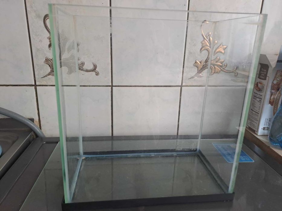 akwarium dla rybek