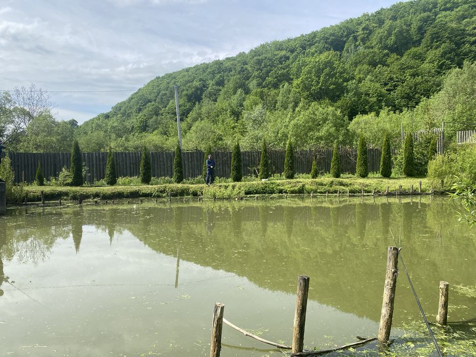 Дача в лісі с. Грушово (рибник)