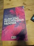 Kliniczna psychologia sądowa. Danuta Rode, Dukała, Kabzińska, Zalewska