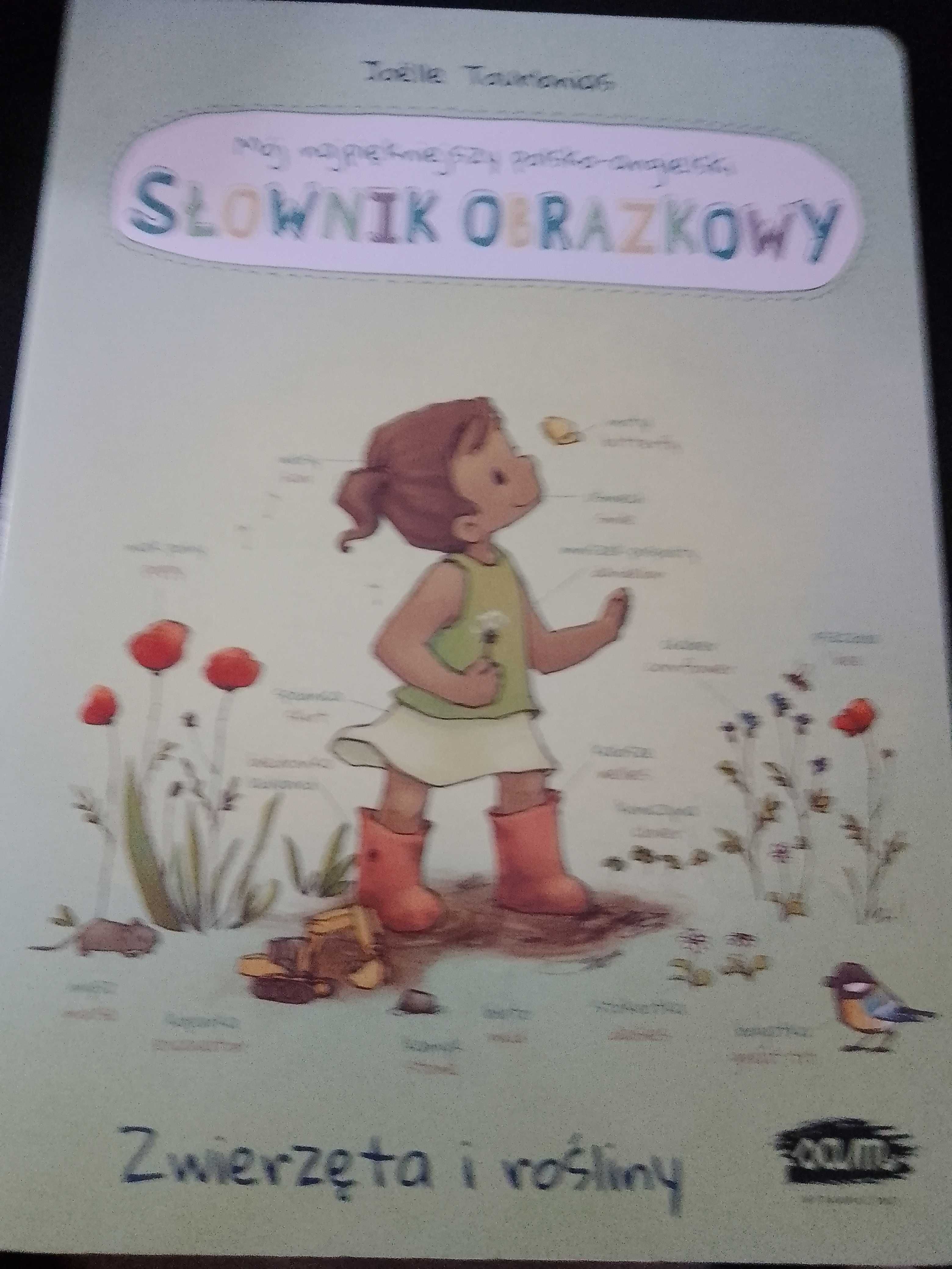 Mój najpiękniejszy polsko angielski słownik obrazkowy