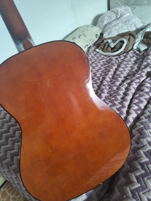 Viola parrot bem estimada