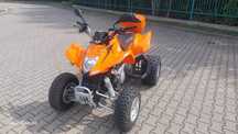 Quad Arctic CAT DVS300