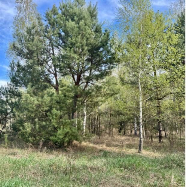 Продам земельну ділянку с. Калинівка 6,9 га