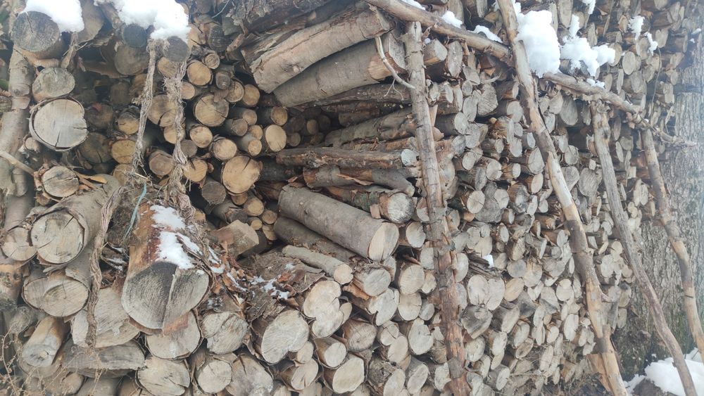 Buk sezonowany 4 lata, idealny do kominka.