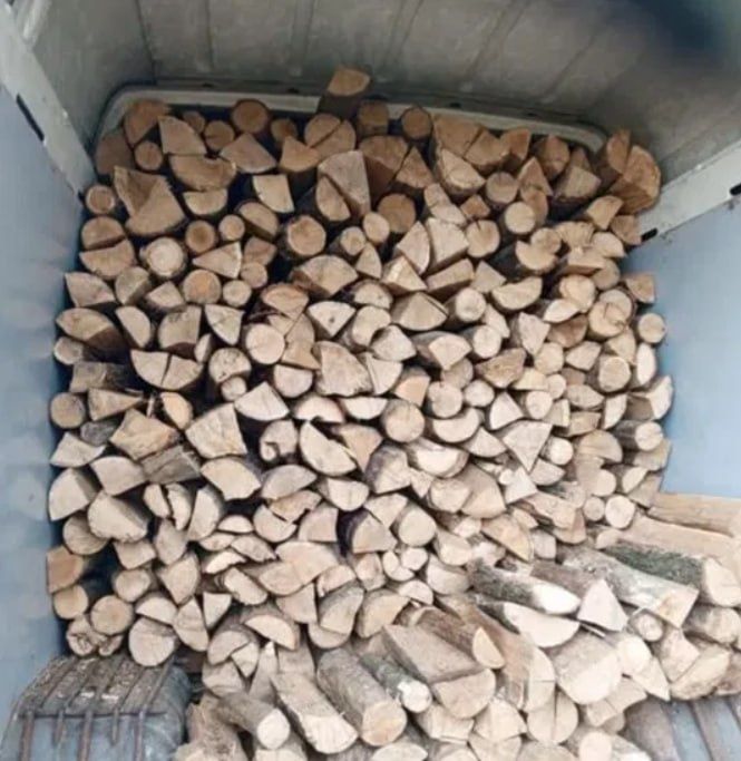 Дрова ОПТОМ та в роздріб. Безкоштовна доставка. 6/18 м3