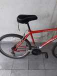 Bicicleta jl wenti