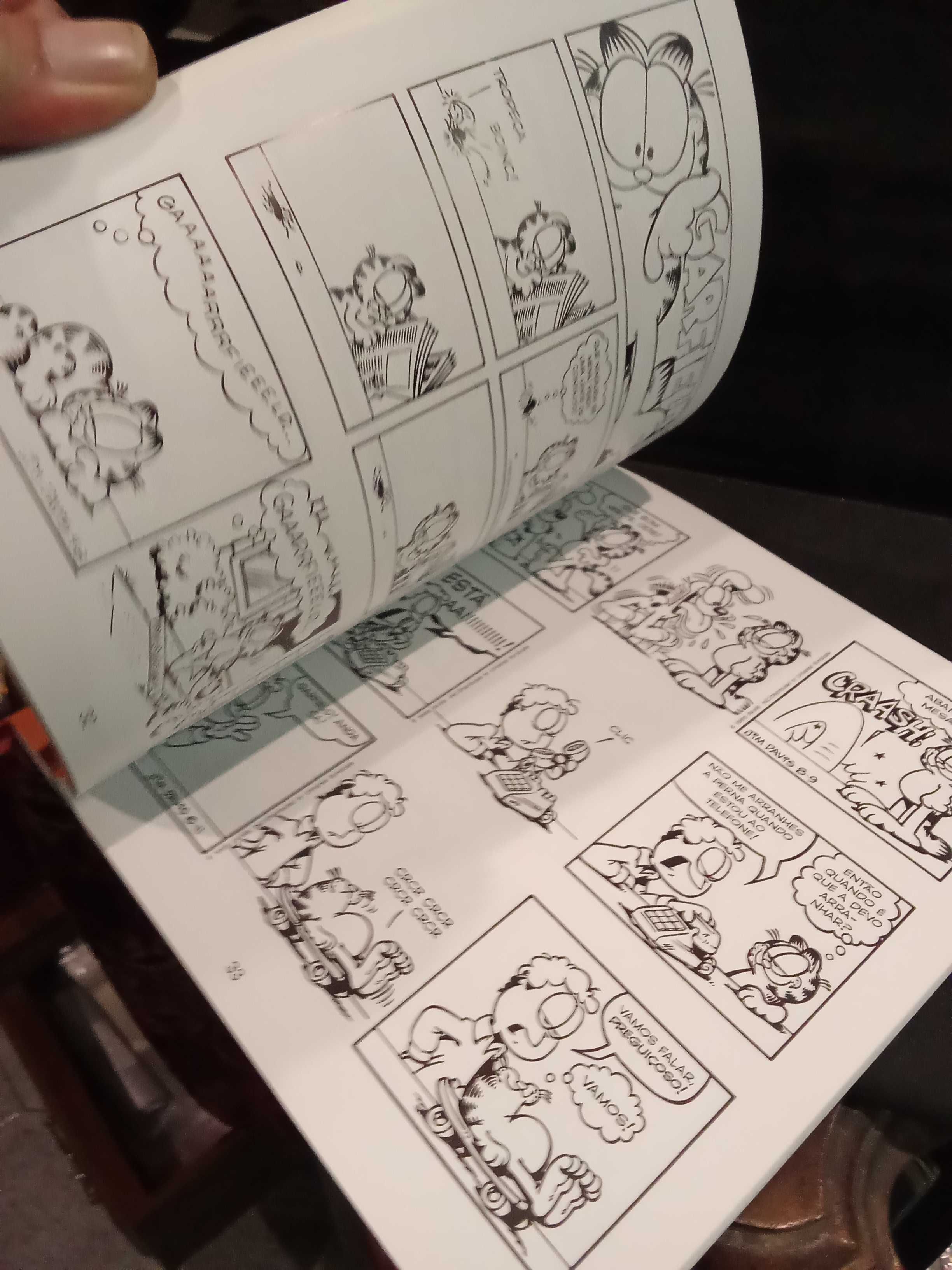 Garfield: Viva a Amizade! BD - Jim Davis
