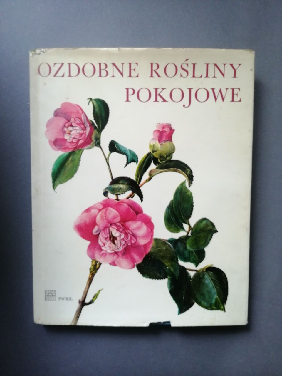 Florystyka Ozdobne rośliny pokojowe Jaroslav Oplt 1972