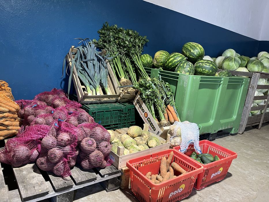 Marchew,Kapusta,Ziemniaki,Cebula,Por,Seler,Buraki,Arbuz,Brukiew,Ogórek