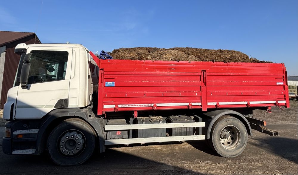 Obornik kurzy, kurzak