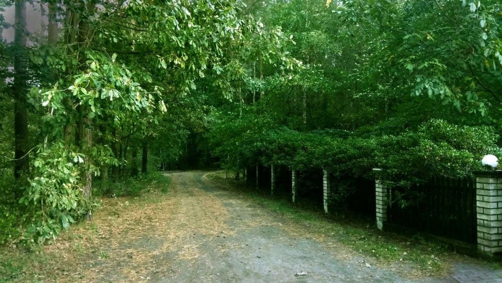 Domek w środku lasu! Na wynajem!