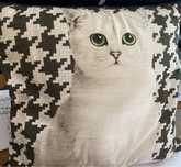 Gato Preto almofada 50x50