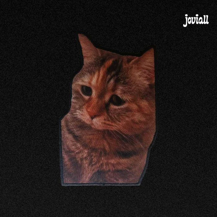 Emblema universitário "Sad Cat"