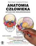 Anatomia człowieka. Atlas do kolorowania. Rebis