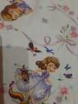 Sukienka h&m 98/104 disney księżniczka Zosia