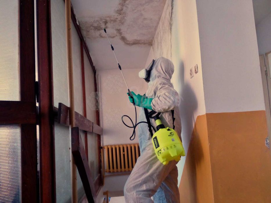 Usuwanie pleśni | Odgrzybianie ścian | Pomiar wilgotności | Termowizja