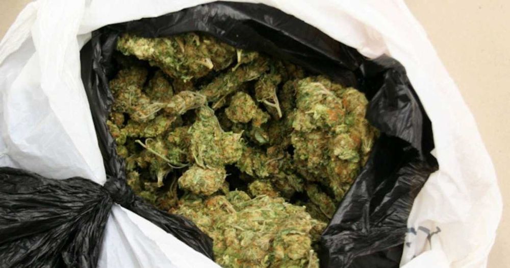 ZKITTLEZ CBG,CBL,CBC  < 22.5%  susz roślinny kopiący 1g + 1g gratis