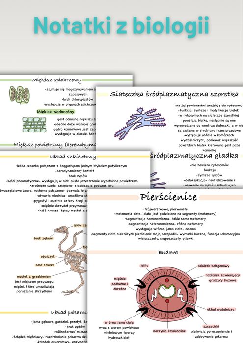 Notatki z BIOLOGII rozszerzonej |  Matura 2026/2027