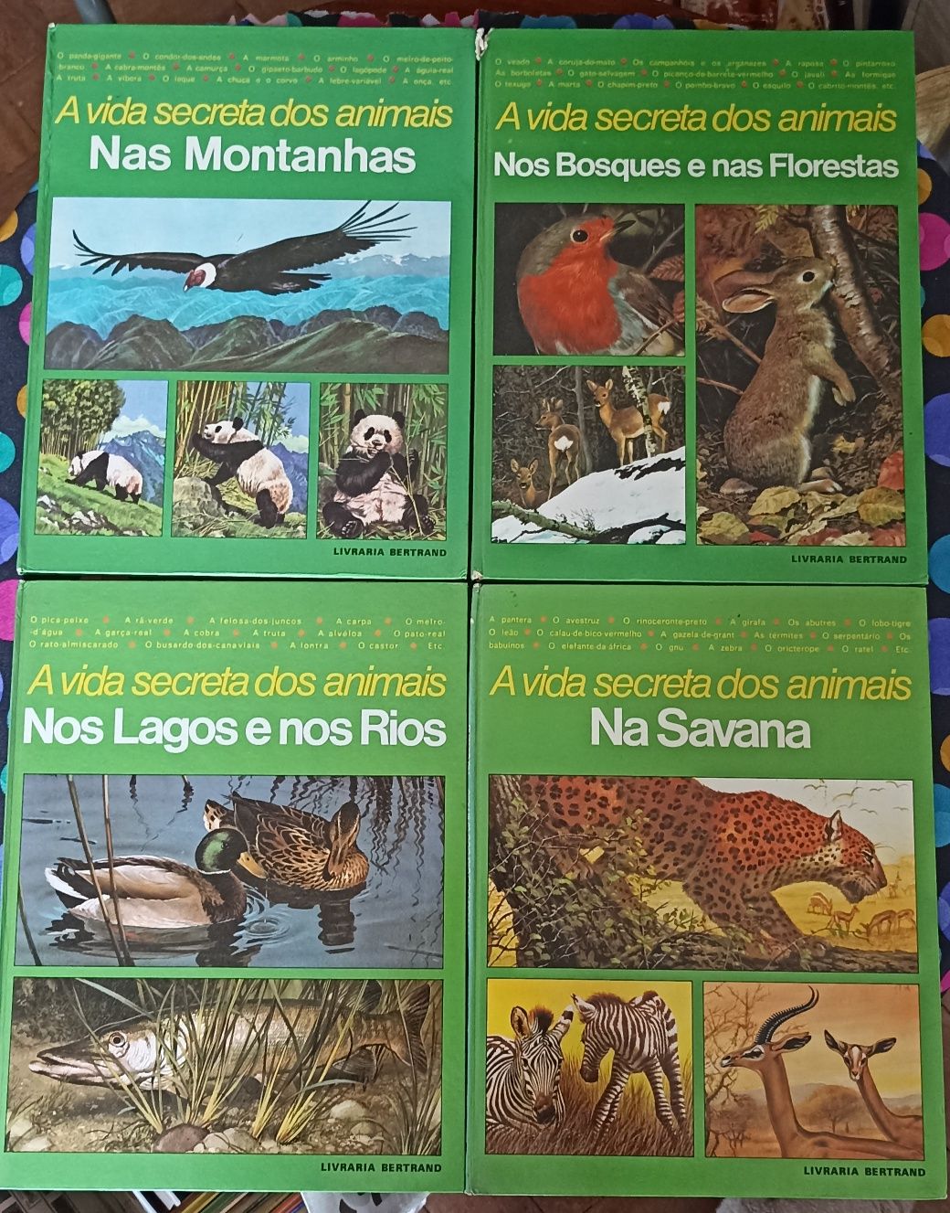 Livros infantis e juvenis didáticos