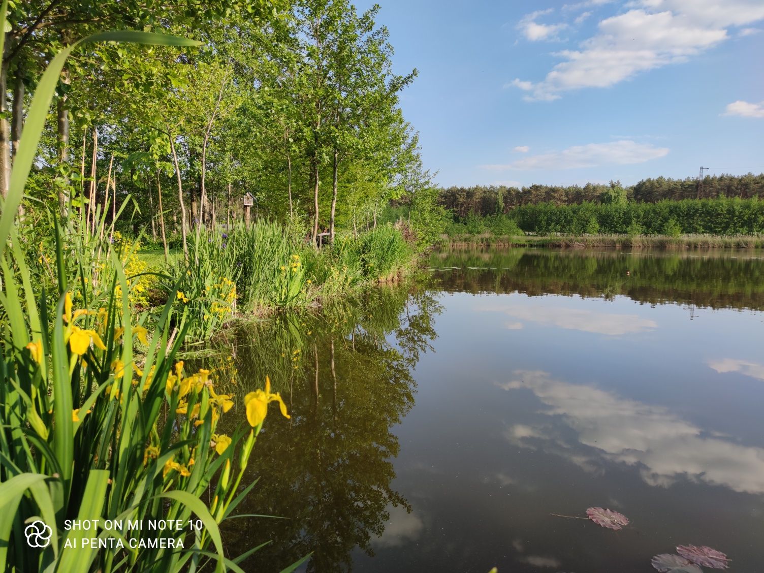 Agroturystyka Kmiecikówka